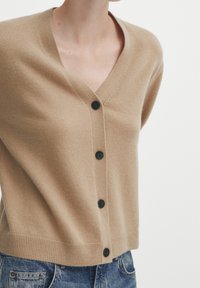 Massimo Dutti Kardigan