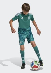 Equipamento de futebol verde composto por uma camisa de manga curta com três riscas brancas, calções com padrão e meias até ao joelho. Chuteiras pretas e uma bola multicolorida.