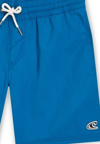 Pantaloni da bagno blu realizzati in tessuto leggero, dotati di una cintura elastica con coulisse, tasca laterale e un logo a forma di onda.