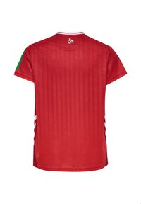 Maglia sportiva rossa a maniche corte, con strisce verticali, un colletto bianco e dettagli verdi sulla manica sinistra. Logo sul retro.
