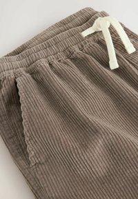 Next REGULAR FIT - JUMBO - Shorts - mushroom