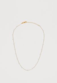 STATIONED CHAIN NECKLACE - Halskæder - pale gold-coloured