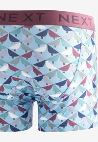 Next 4 PACK - Boxers - scion blue bird pattern