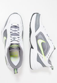 Nike Performance AIR MONARCH IV - Avalynė treniruotėms - white/white /cool grey