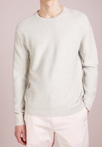 Hellgrauer Pullover mit Rundhalsausschnitt aus weichem Stoff, versehen mit einem gerippten Kragen, Bündchen und Saum. Lange Ärmel und eine taillierte Passform.