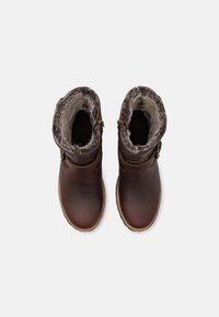 Panama Jack FAUST  - Botines - chestnut