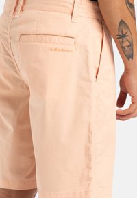 Quiksilver Shorts - mef0