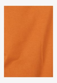 Non sélectionné, marron