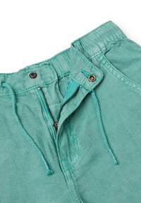 United Colors of Benetton BERMUDAS - Šortky - green