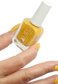 Immagine in miniatura 2