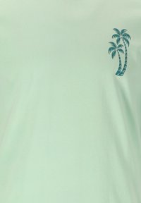 Vaalean mintinvihreä t-paita, joka on valmistettu pehmeästä puuvillakankaasta. Edessä on pieni painettu kuvasto, jossa on kaksi palmuva, tumman teal-värisiä, ylävasemmalla.