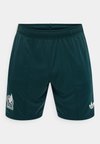 MEXICO 26 AWAY REPLICA SHORTS - Nemzeti válogatott viselete - aurora ivy