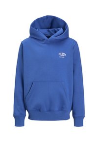 Blue hoodie with a front pocket, ribbed cuffs, and hem. Features a hood and a small white "PROJECT" graphic on the chest. Soft fabric texture.
