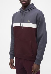 Homme portant un sweat à capuche bicolore avec des manches grises, une bande horizontale blanche et une partie inférieure bordeaux avec un petit logo crocodile vert.