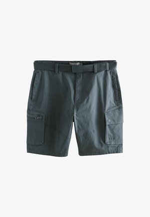 Tumed hallid cargo lühikesed püksid, millel on loonud vöö, vasakul küljel lukuga tasku ja paremal küljel nupuga klapiga taskud. Ühtlane tekstuur, vabaaja disain.