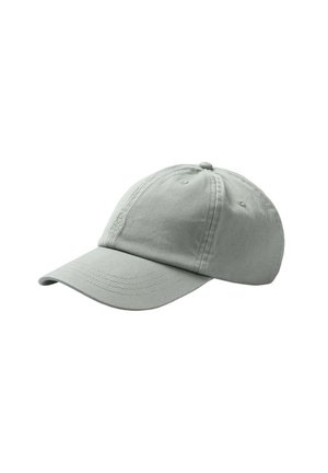 Gorra de béisbol de algodón verde claro con visera curvada, seis ojales de ventilación y un pequeño logotipo bordado en el panel frontal.