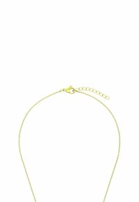 Guldfärgad kedja med en fin, sammanlänkad länkdesign. Har en krabbklämma och justerbar längd med en förlängningskedja.