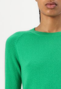 FROM FUTURE BANDE MULTICOLORE AUX MANCHES - Strikkegenser - tropical green