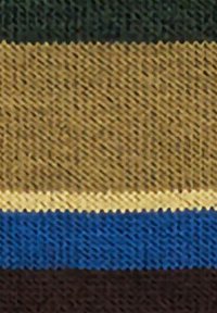 In primo piano, tessuto con righe orizzontali nei colori verde scuro, giallo senape, crema, blu e marrone scuro.