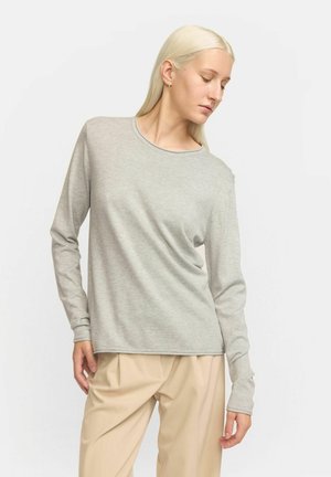 Maglietta a maniche lunghe grigia chiaro in tessuto morbido, colletto rotondo, vestibilità rilassata, con maniche a polsino e dettagli di cucitura minimi. Abbinata a pantaloni beige.