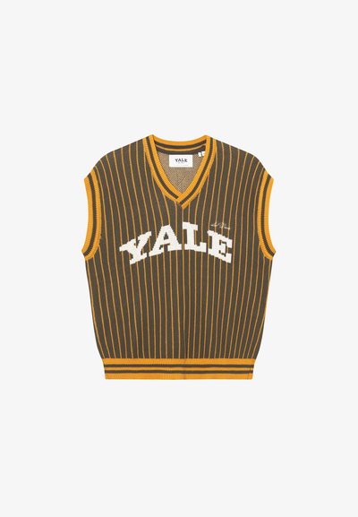 YALE PINSTRIPE V NECK VEST UNISEX - Pullover - duffel bag green/golden yellow