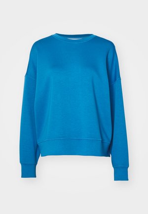 Blue sweatshirt with a relaxed fit, round neckline, and wide sleeves. Made from soft fabric with ribbed cuffs and hem.