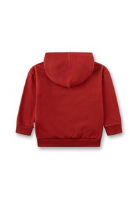 Roter Kapuzenpullover mit weicher Textur, gerippten Bündchen und unterem Saum; verfügt über eine zentrale Kapuze und keine sichtbaren Verschlüsse oder Muster.