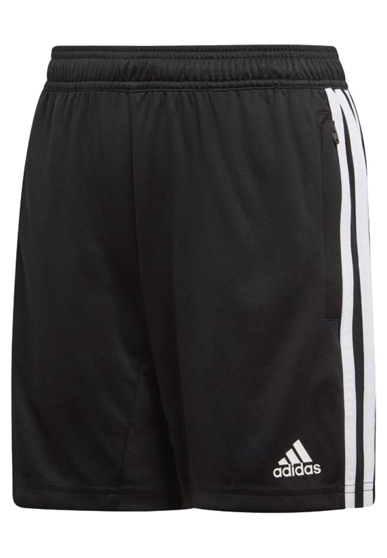 adidas Performance Pantalón corto de deporte - black