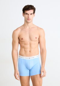 Hellblaue Boxershorts aus Stoff mit einem weißen elastischen Bund, der mit "TOMMY HILFIGER" Branding versehen ist. Glatte Textur, mittellanges Design.