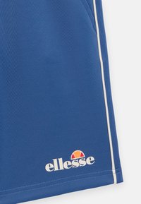 Blå treningsshorts laget av lett materiale, med en hvit stripe på siden og en brodert logo på kanten.