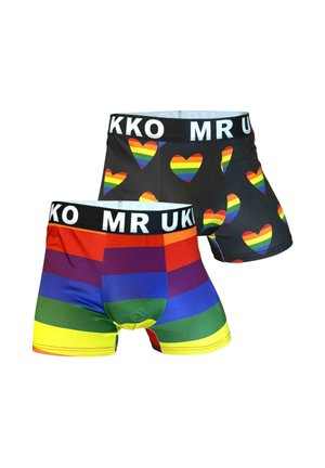 2 PACK PRIDE FLAG AND HEARTS - Bokserit - multi coloured