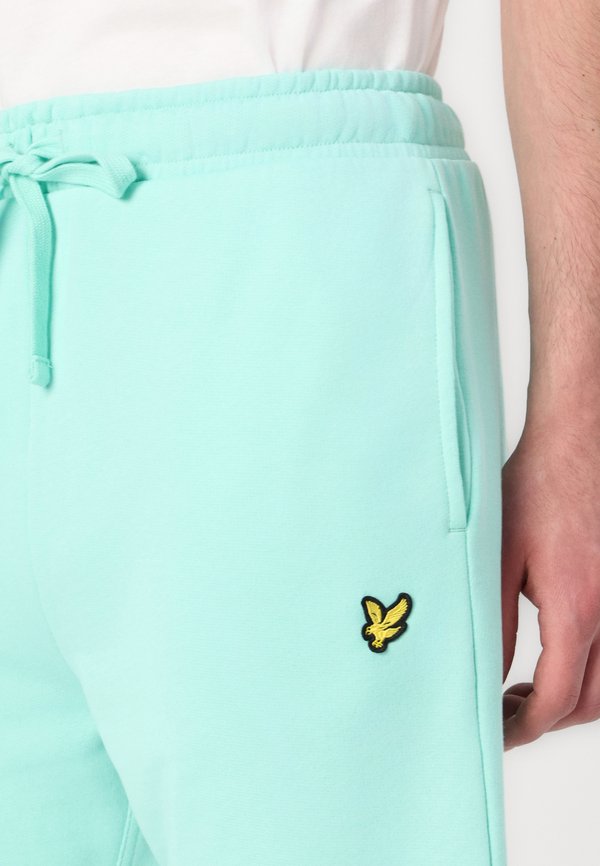 Shorts - aquamarine4