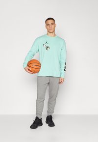 Nike Performance NBA CITY EDITION CHARLOTTE HORNETS LONGSLEEVE TEE - Klubu apģērbs - mint