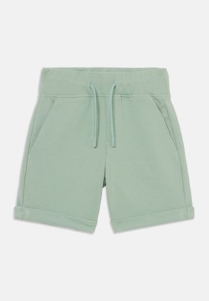 OSJNEW KODYL - Short - iceberg green