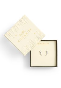 Boucles d'oreilles en forme d'étoile argentée avec des accents en cristal, présentées dans une boîte crème ornée d'une marque dorée et d'un motif étoilé subtil.