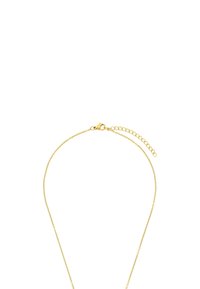 Collana in metallo dorato con una delicata catena, dotata di chiusura a gancio e di una catena estensibile regolabile per variare la lunghezza.