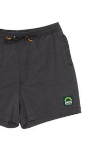Gray swim shorts with an elastic waistband and orange drawstring. Features a green logo patch on the left leg. Lightweight fabric, plain design.