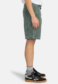Shorts verts en coton avec une texture douce, comportant plusieurs poches et un design droit, arrivant aux genoux. Portés avec des baskets noires.