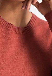 Maglione color ruggine con scollatura rotonda a costine e una texture morbida, che presenta una vestibilità aderente e un design minimale.
