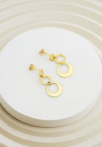 Boucles d'oreilles pendantes en or avec deux cercles entrelacés ; l'un est creux, l'autre est plein. Texture lisse avec une finition polie.