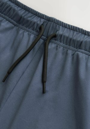 Grijze sportshorts met een elastische tailleband, voorzien van een zwarte trekkoord. De stof heeft een gladde textuur en een lichte glans.
