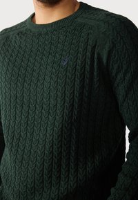 Uomo che indossa un maglione verde scuro a trecce con un piccolo uccello viola ricamato sul petto, primo piano dalle spalle alla vita.