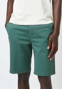 Shorts en coton vert avec une texture lisse, dotés de poches latérales et d'un design simple. Les shorts ont une coupe droite et un ourlet net.