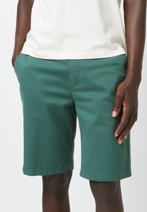 Shorts en coton vert avec une texture lisse, dotés de poches latérales et d'un design simple. Les shorts ont une coupe droite et un ourlet net.