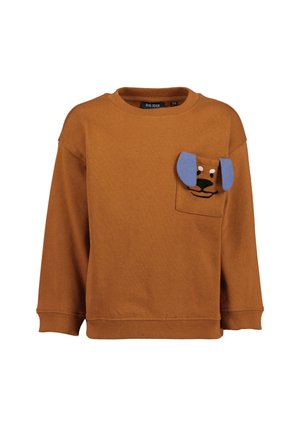 Brauner Kinder-Sweatshirt mit langen Ärmeln und einer Fronttasche mit einem Hundegesicht und blauen, angebrachten Schlappohren.