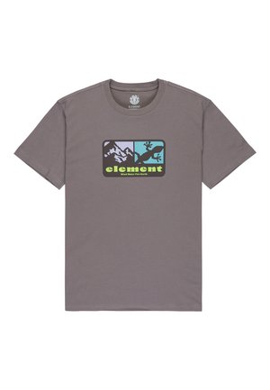 T-shirt en coton gris avec un graphique rectangulaire représentant des montagnes et un lézard, accentué par le texte "élément" et "Vent Eau Feu Terre."