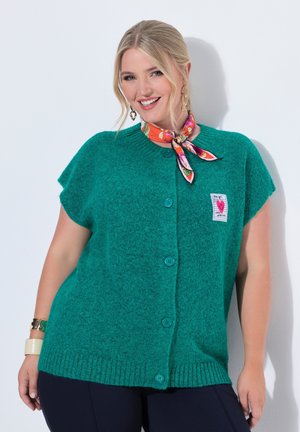 Femme souriante portant un gilet tricoté vert boutonné, un foulard floral coloré autour du cou, des boucles d'oreilles et des bracelets en or, debout sur fond blanc.