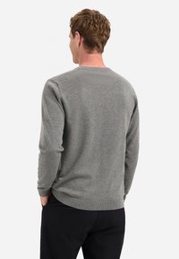Grijze gebreide trui met lange mouwen en een geribbelde ronde halslijn, met een gladde textuur en een fitted taille, gezien vanuit de achterkant.