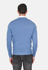 Maglione lavorato a maglia di colore azzurro chiaro con maniche lunghe e polsini a coste, dotato di scollatura a girocollo. Indossato sopra jeans scuri, visto da dietro.