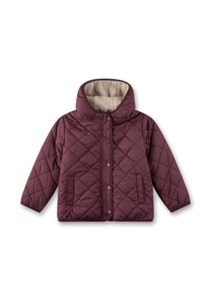 Winter jacket - rosa